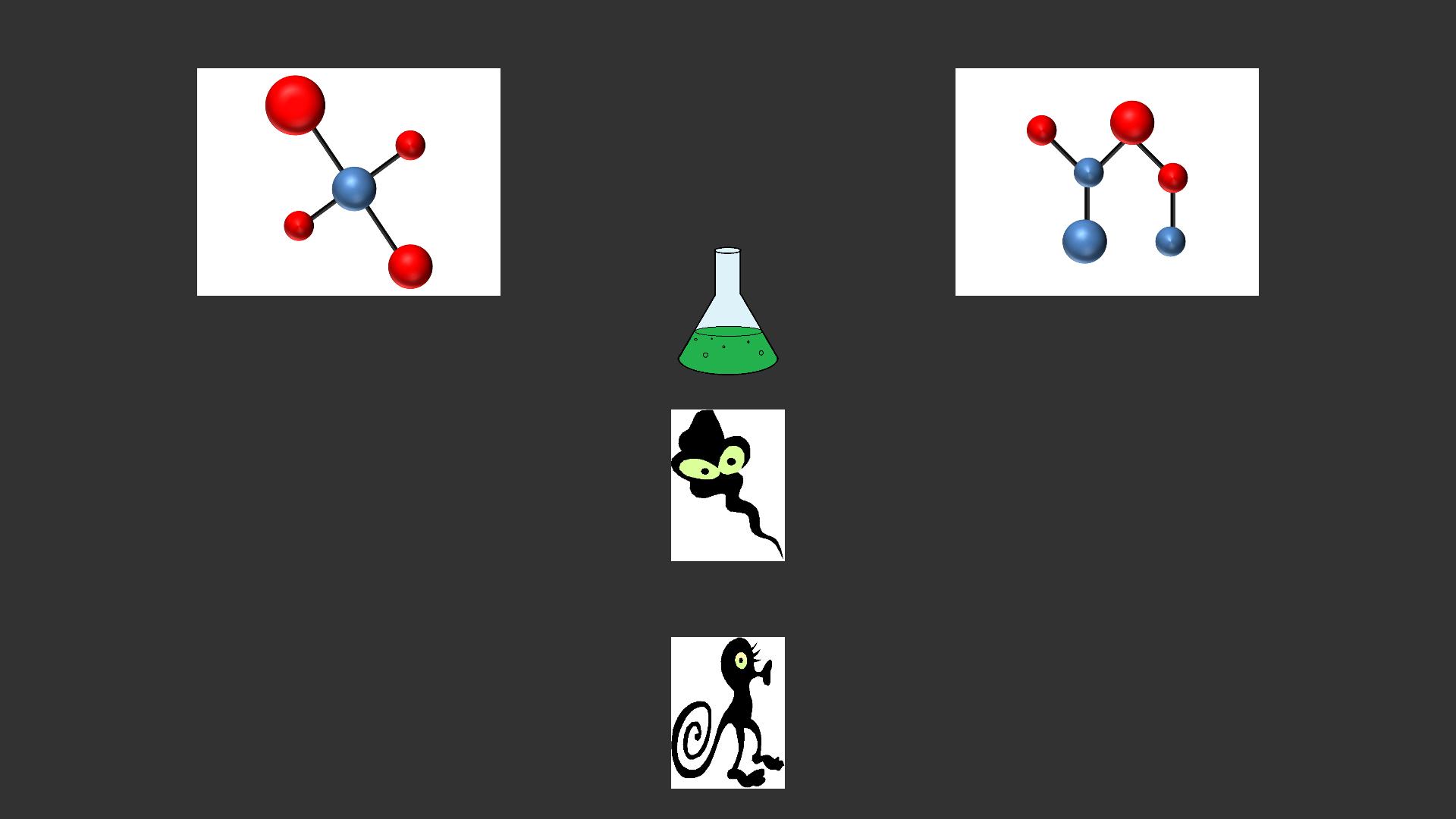 Screenshot of a trial from Beesley et al. 2015